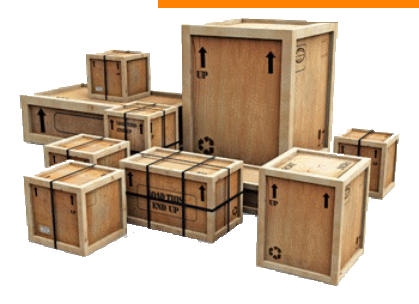 Carolina Services & Carating