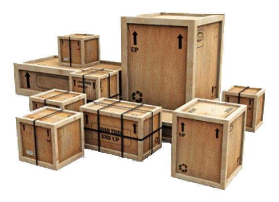 Carolina Services & Carating